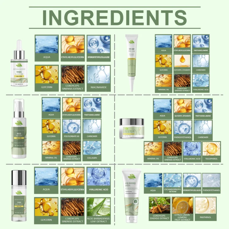 HANCHOBIT Cordyceps Skin Care Set - Moisturizing & Hydrating Facial Care - Image 5