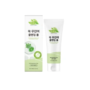 HANCHOBIT Wormwood Cleanser: Gentle Daily Cleansing Foam